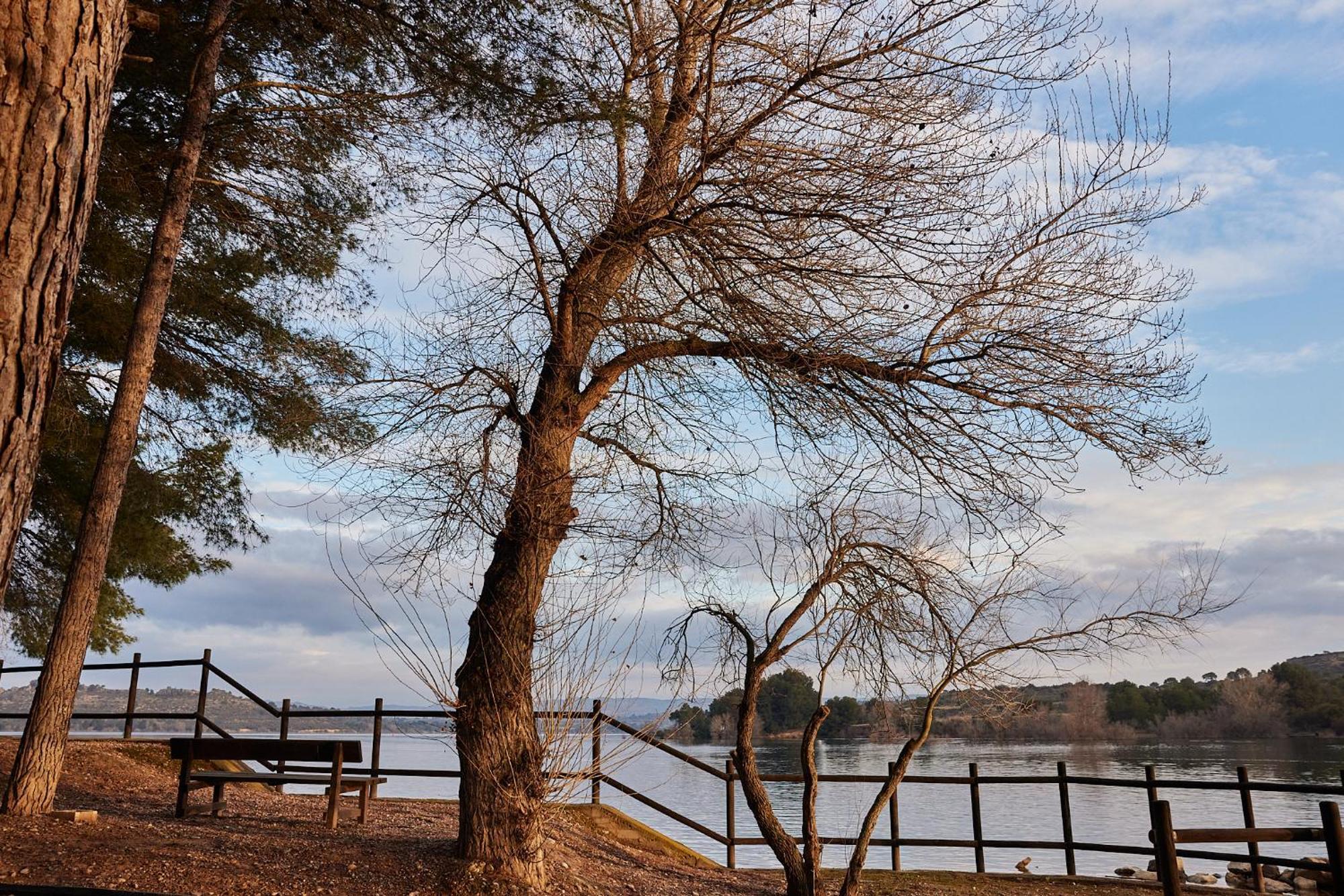 Taiga Lake กัสเป ภายนอก รูปภาพ